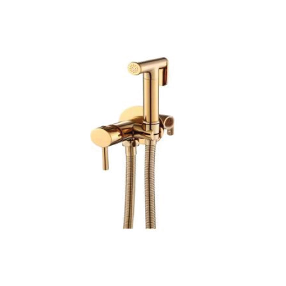 GARNITURE WC+MITIGEUR ENCASTRE ROND OR BROSSE