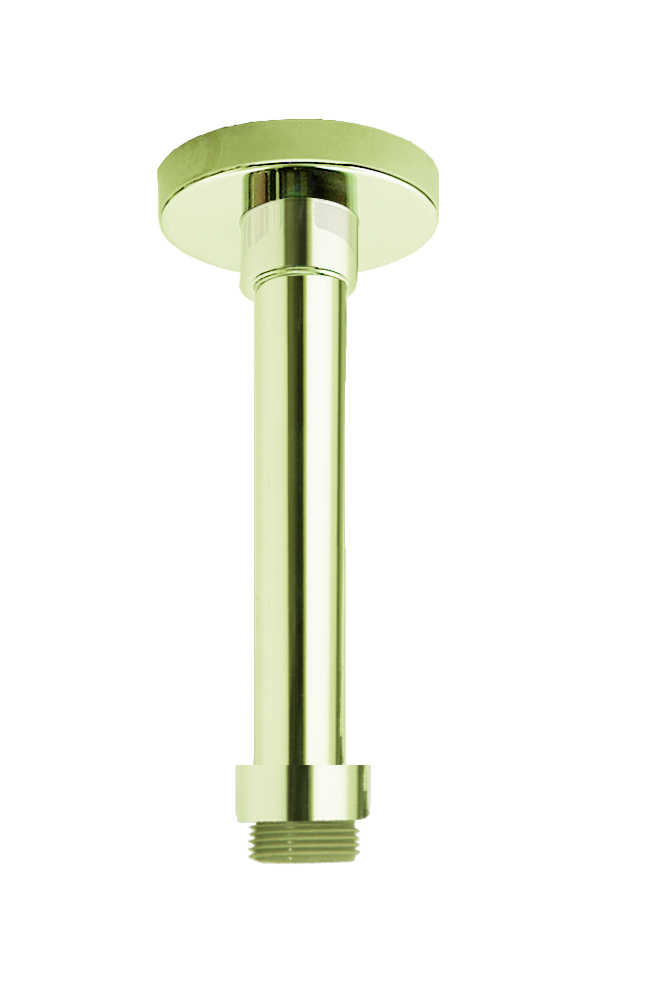 BRAS DE DOUCHE PLAFONIE ROND OR BROSSE